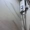 Chic 1 Bedroom Unit upto 4 pax with wifi 50mbps - Cebu City