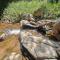 Topanga Panoramic View Loft with Trails & Creeks - Topanga