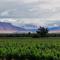 Hotel REAL CAFAYATE