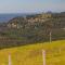 Petrichor Estate - 360 Views Pool & Spa - Bald Knob
