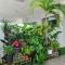 Jonker Street New Cozy Home 20pax Swimming Pool Karaoke