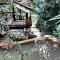 The Cascade - Mae Taeng Waterfall Bungalows - Mē Tamān