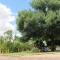 The Willow Tree Guesthouse