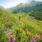 Apartment Arve - Chamonix Peaks Retreat
