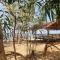Tree House - Mahuyabhuyab