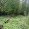 Suite Balnéo en bord de forêt - Pouzy-Mésangy