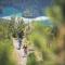 Alpenchalets Biberwier Zugspitze by ALPS RESORTS