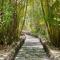 Finca del Sur