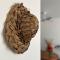 Jasmin - Appartement face plage Diamant - 勒迪亚芒