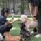 Ketawa Pet Friendly Hotel