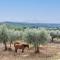 Apartment Badia a Passignano-1 by Interhome