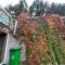 Hostel La Casa Dilijan