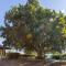 Ayia Napa Sycamore SeaView