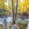Riverfront 2 BR - Steps to Town - Pool & Hot Tub - أسبين