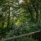 Tree House, Partial Lake Views - Windermere