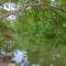 Yala River Face Inn