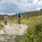Waingarth Cottage Grizedale Forest & Satterthwaite - 阿尔弗斯顿