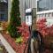 Comfort Inn - Gander