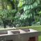 Arenal Ginger Home