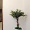 C2 White Linen House 2br - Seúl