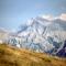 Alpenrose