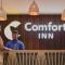 Comfort Inn Elite - Jua