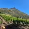 Mountain Vineyard Cottage - 开普敦
