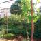Apartments Dragan