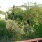 Apartments Dragan