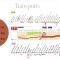 Harmonieux Yourhosthelper - 沙维勒
