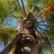 Fabuleuse Villa Keur Bibou