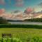 Tisza Balneum Hotel