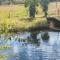 Amamoor - Living Waters