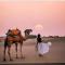 The Golden Sand Resort&Camp