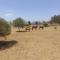 The Gaia House Magaliesburg