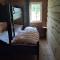Coazy cabin with sauna - Trysil