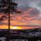 Coazy cabin with sauna - Trysil
