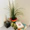 1 BHK Fully Apartment in Heart of Sharjah - Sharjah