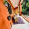 Casa Cabarete NEW Upstairs Apt Easy Walk to Beach - 喀巴里特