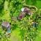 Dewa Jati Cottages