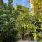 Biot - Place des Arcades - 比奥