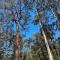 Karri Glade Farm Stay