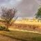Seppeltsfield Vineyard Cottage Luxury Romantic Getaway