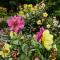 Seppeltsfield Vineyard Cottage Luxury Romantic Getaway