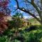 Seppeltsfield Vineyard Cottage Luxury Romantic Getaway