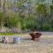 Country-style Stunner - Bushland Peace & Privacy