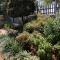 Jasmine Guest Cottage - Benoni