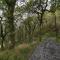 Y Cwtch - Panoramic mountain views within Snowdonias National Park - 4x4 only