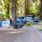 Redwood Paradise