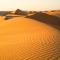 Thousand Stars Desert Camp